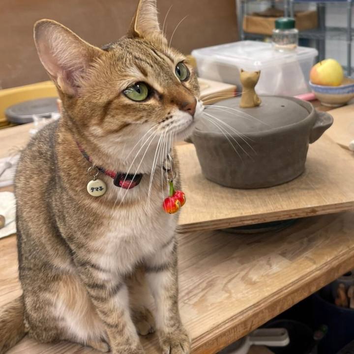 6ef912ae dcbd 4022 b773 6d3a3bdef90a 1665302803951