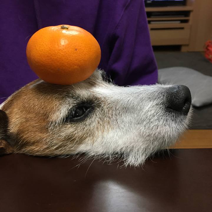 6ef91841 d680 4c2a b4fb 501a892ba36f 1608074789515