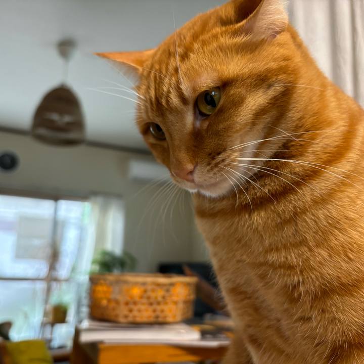 6ef9410f c647 4fdb bb7f 5982e7b7ab71 1765764475978