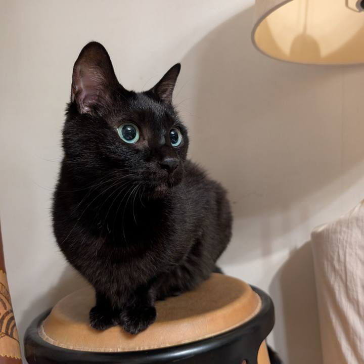 6ef941c0 41b3 48d8 9a03 3dd7ed2ff135 1763594793186