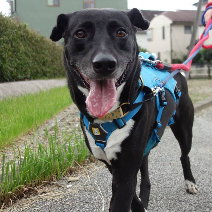 6ef95136 0327 4efb 9d67 1082642ac744 1629589997097