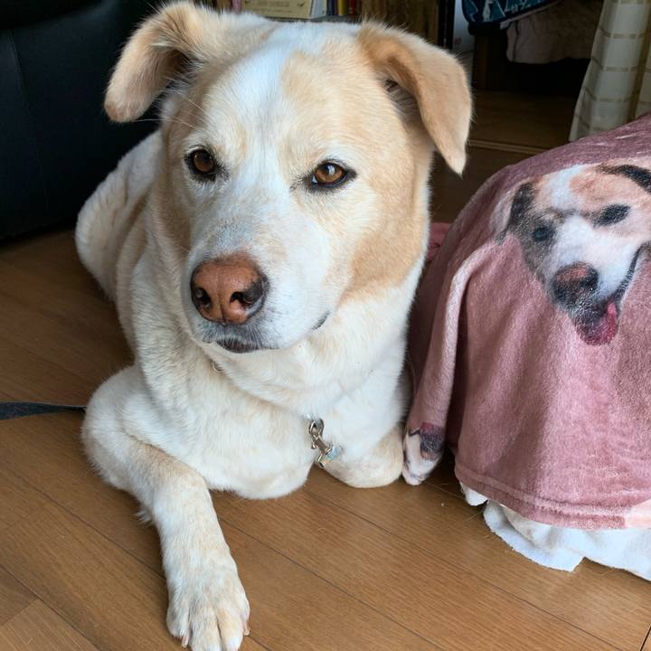 6ef9645b 33f4 48d3 9688 fca816eb870d 1620085224994