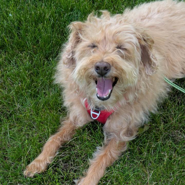 6ef97264 f3c8 4d63 9146 b350bd3633ec 1750669278643