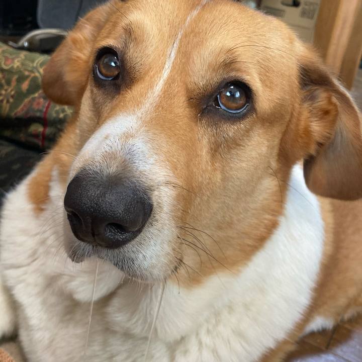 6ef9784e 7689 4f94 9397 1dd66f348261 1718756253608