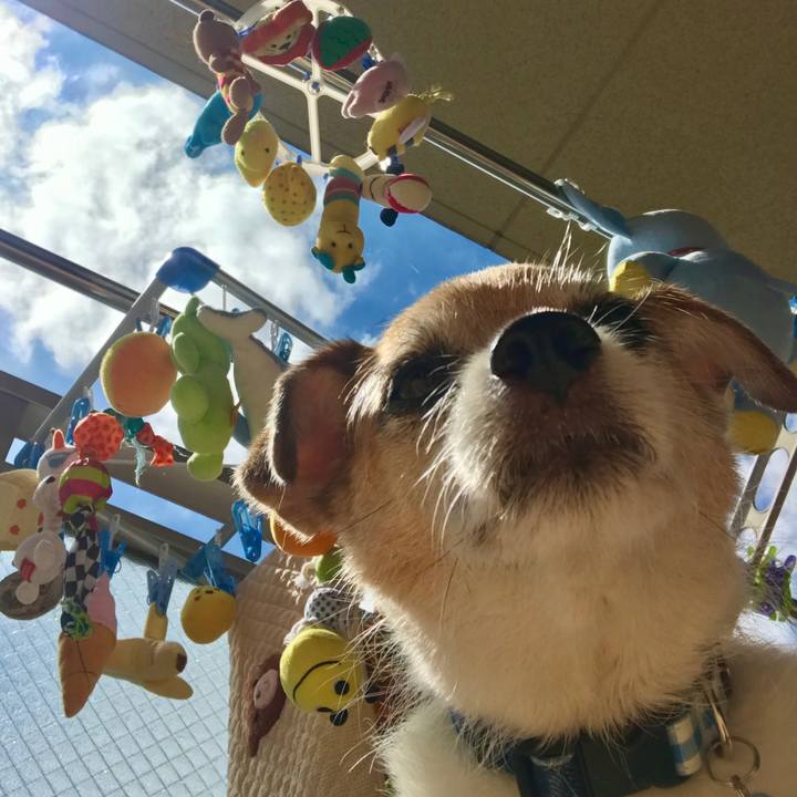 6ef9a01f 3a98 4c10 a7ab 5dfa428dd4cb 1628041504893