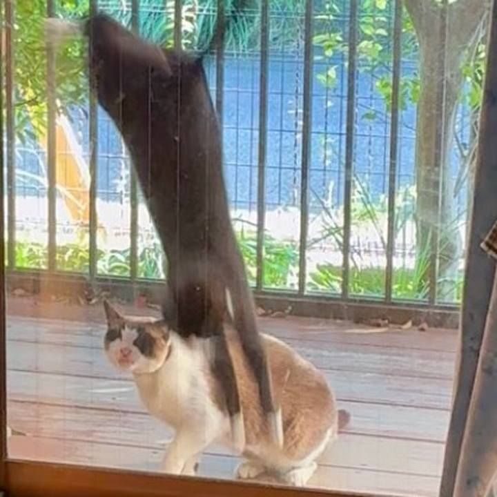 6ef9a057 1348 425e bd65 36ada8dea2ba 1748175840016