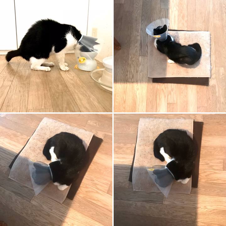 6ef9f0d1 3093 486e bfa7 b1b4bd3252d0 1579773043030