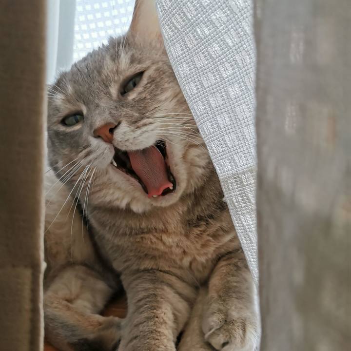 6efa25b5 9af3 4cc1 9731 d77506d0a1f1 1662787999113