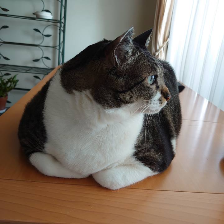 6efa29a6 eada 41e3 9e97 dfafb903a15a 1585282687645