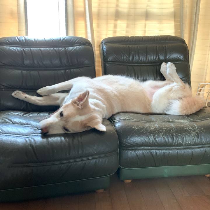 6efa2cce aa68 4235 8f0e fd33c9441637 1598769713232