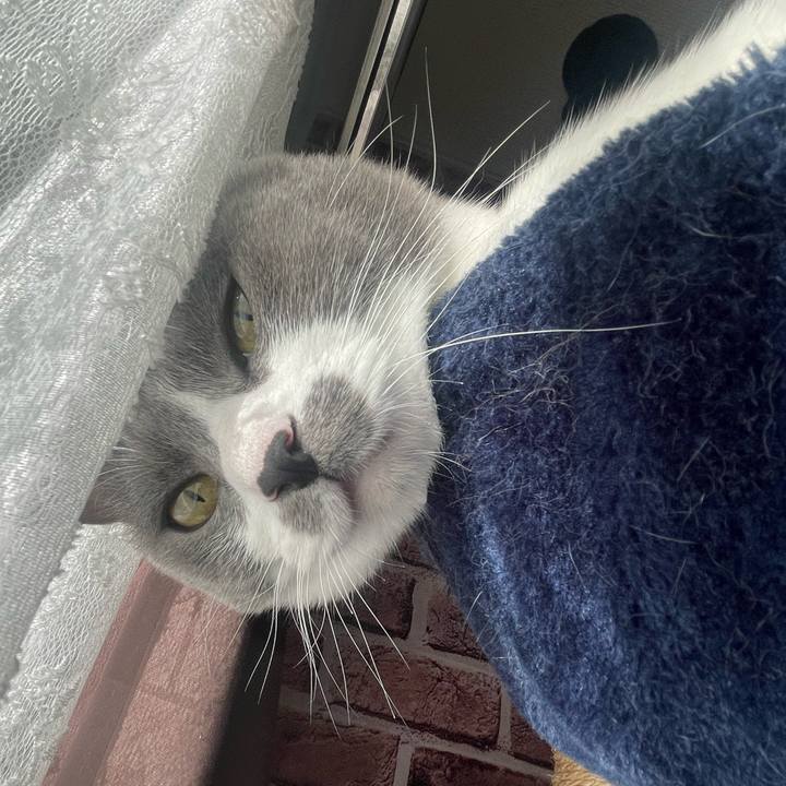 6efa30ee 6413 4643 bb50 1354060f3c0f 1669763953051