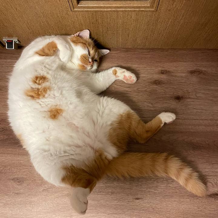 6efa6c62 6fed 4c14 8e75 60199fe077f0 1689376446946