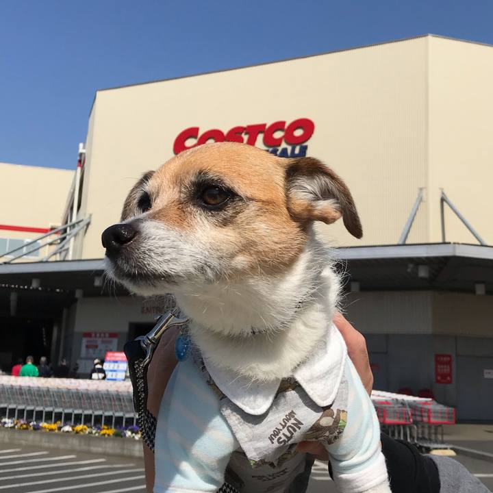 6efa8461 1ee3 4196 8c52 8f9df69a4f5d 1553059953534