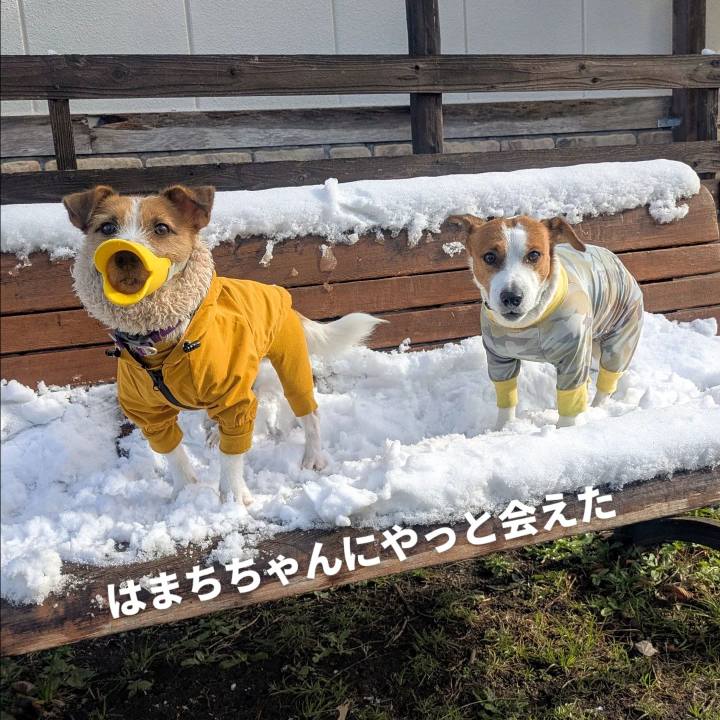 6efaf238 7274 4db4 8851 005d531ea115 1766826177241