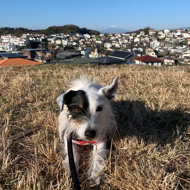 6efb173f 0a78 4e4d bbe4 9c679e17c729 1703811548524