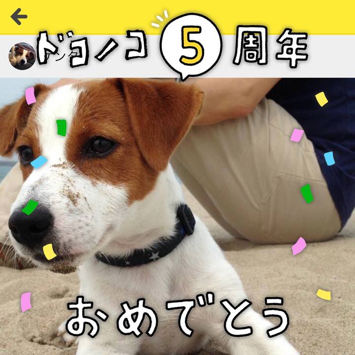 6efb72ad 3149 41ca bcd8 6969a899b3ab 1623126246426