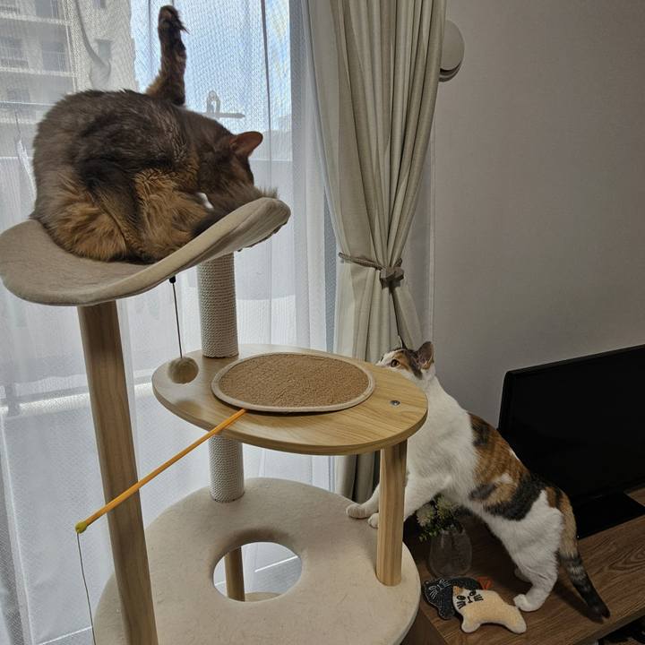 6efb79bb 1f4b 43c5 b635 a7b140a5d27b 1759536825336