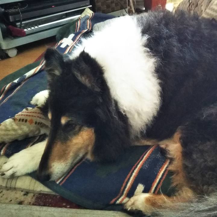 6efbb086 39a3 4b15 bcaa b1d345508bd5 1586618636948