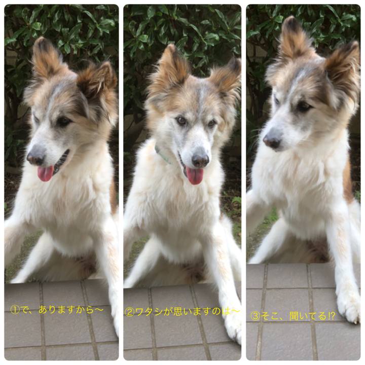 6efbdced 99a4 4486 9996 4f1e2bee264f 1539563736583