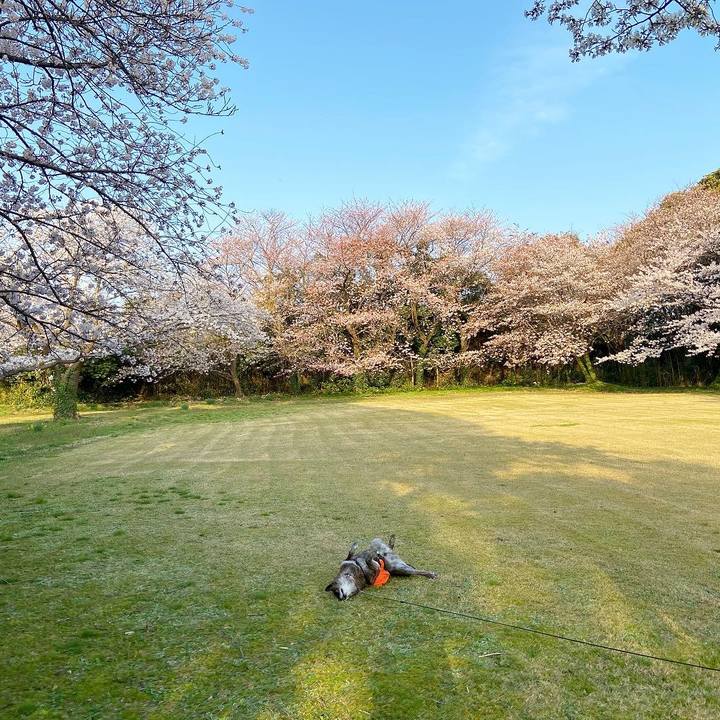 6efc0471 6b3f 4879 b13f e984f20c0b9f 1617416267897