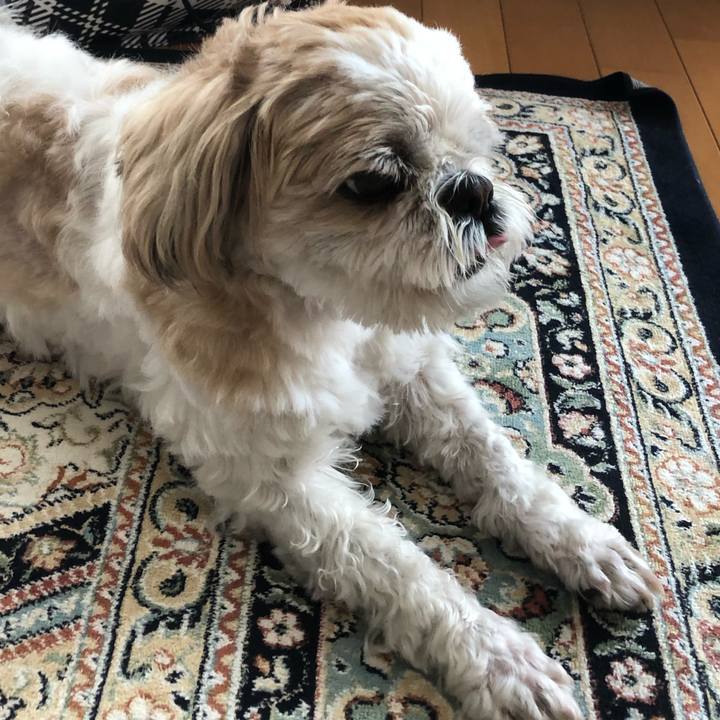 6efc0fd1 bf8a 411f af92 832b700d25d8 1552686667692