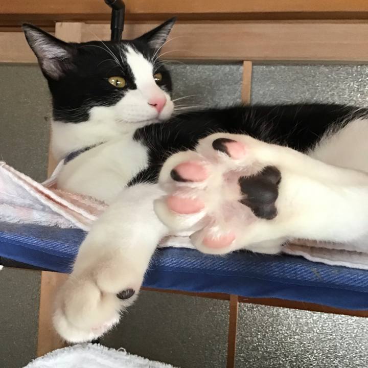 6efc251b 0706 46ca 981c 21b8c3ba25f1 1637036306963