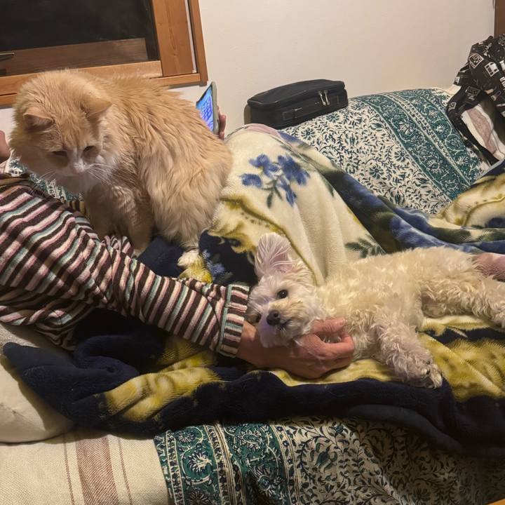 6efc3707 8339 4427 995d 8e1cf6ef454c 1768901236696