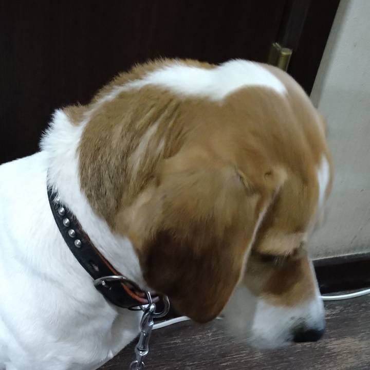 6efc5477 d75a 4088 9c6d 753c7271569e 1644755125925