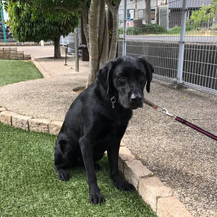 6efc581e 50fd 44c6 9819 73851f6963a8 1558141165317