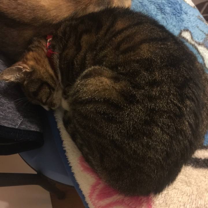 6efc58d0 b16e 4fe4 b724 45ac2d162147 1556450304578