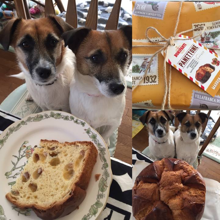 6efc687c 5823 49f4 ad6d 06d6523c7166 1547950693456