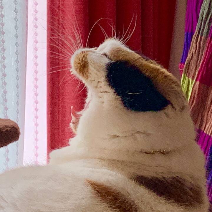 6efc90b4 64ec 4932 b5a2 716778e5e30a 1568783227559