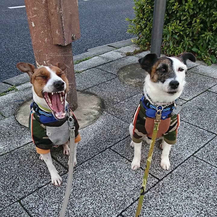 6efc91dd 7644 4c4d b5b6 d6b618042a80 1583015289581