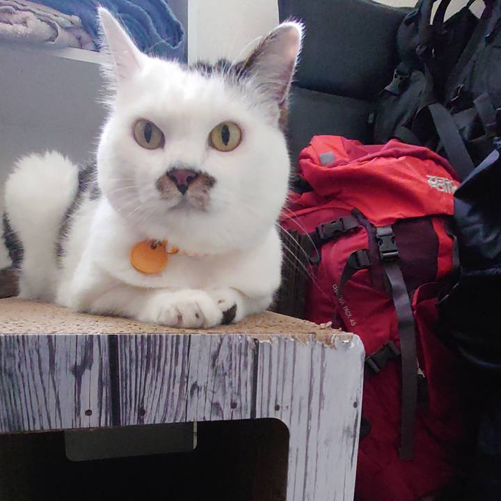 6efcd619 054d 4fa7 a2f9 ab2b41a6dd47 1597456660441