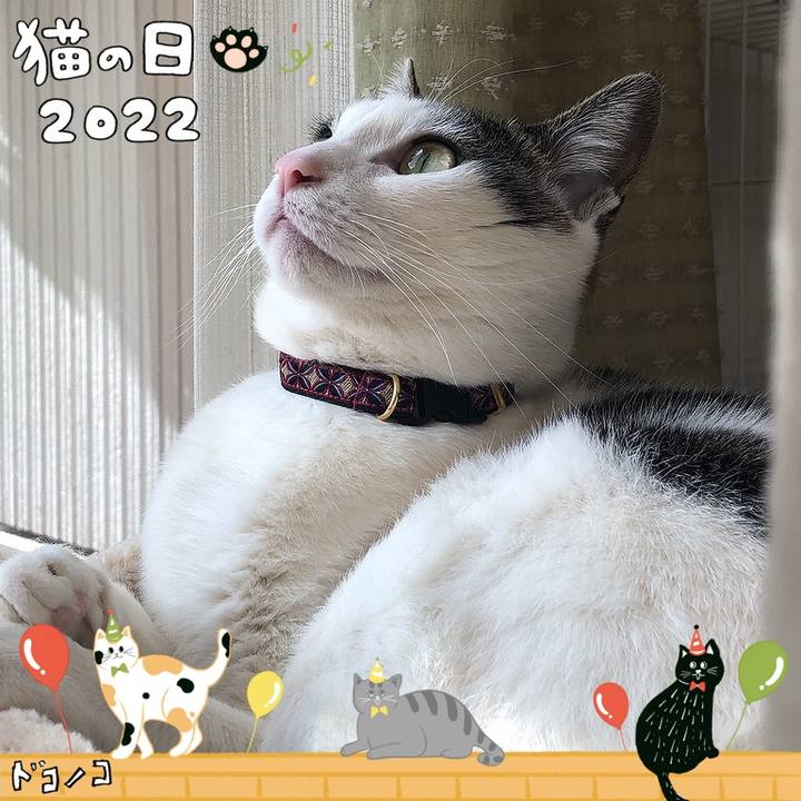 6efce831 e042 4c1a 944c 960fbfcedcf3 1645518031697