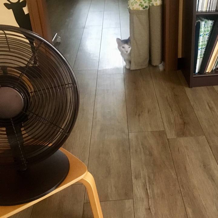 6efcee17 be19 42de 97dc 5950f2177f64 1561684539935