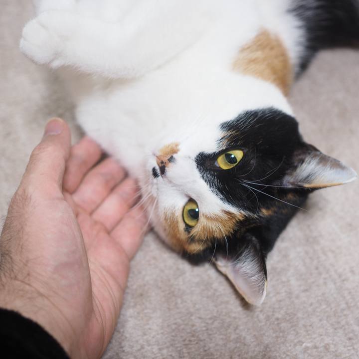 6efcf3dd d3cb 43c1 be8f 5a3515038420 1516228045945