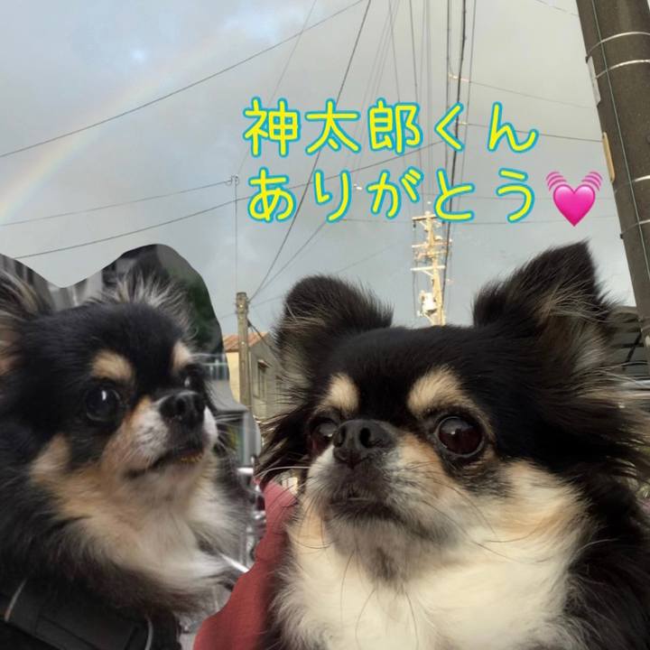 6efcfa32 97ed 4f0b a508 fc19bfbee14e 1662416461552