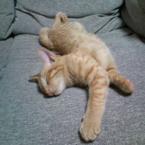 6efd47f7 fb3b 4130 8f1b e4c11f638ced 1524879357490