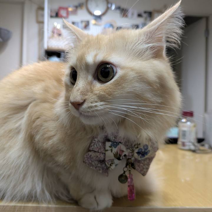 6efd5ad5 978b 4ddb b29f 0fd1df1e21a2 1760694905057