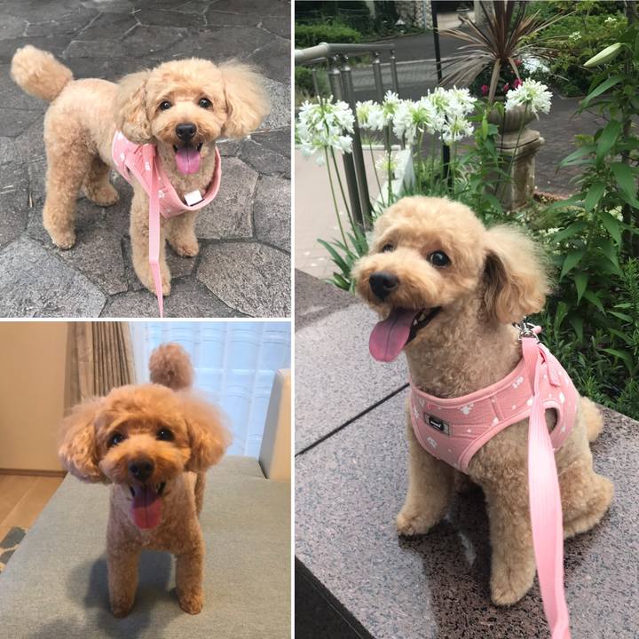 6efd7daa f6e4 4013 8e68 a9404c40f2d6 1561975777369