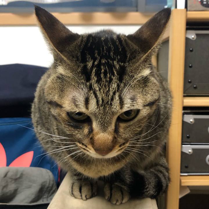 6efd8919 cf12 4af9 8c08 d8d8bc27c3ce 1581751272558