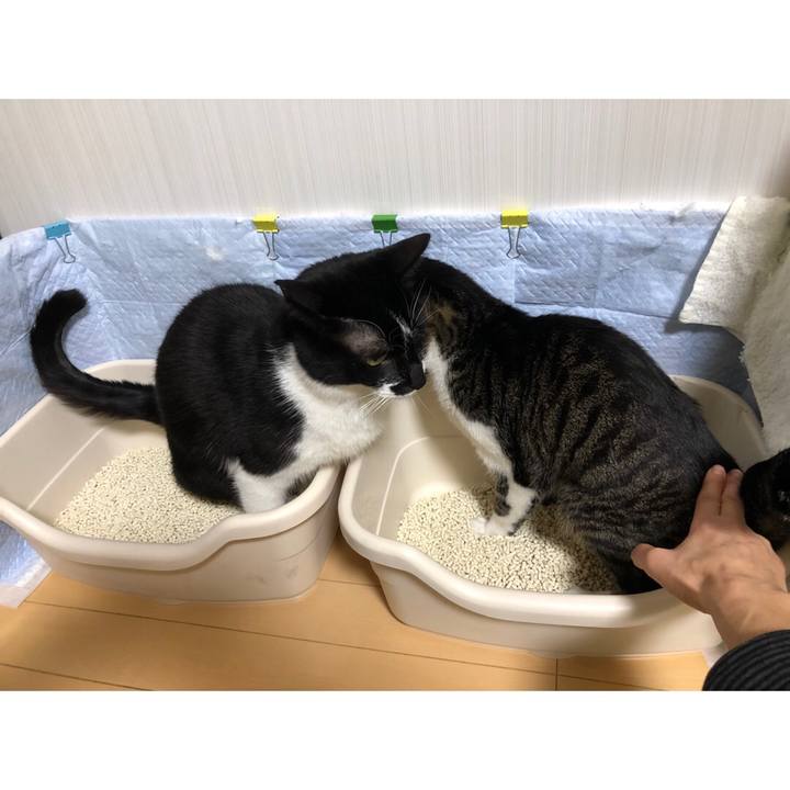 6efd94b6 bde2 4603 9537 8b5055db0310 1612211641390