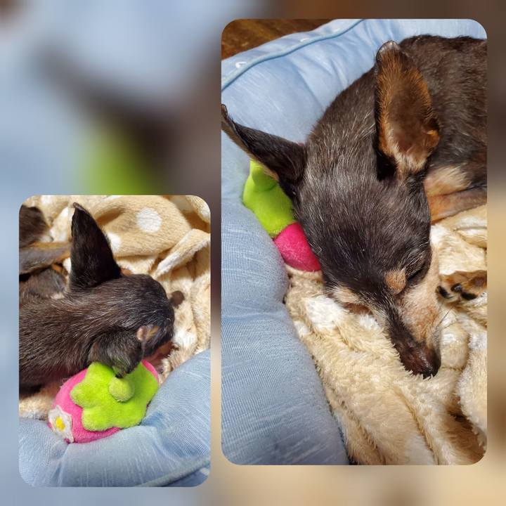 6efda5aa 3830 4ccc ac71 1300e7cb1bee 1714369450424