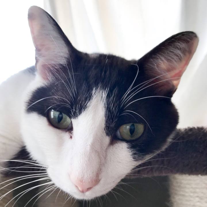 6efdc610 0ad0 4f16 83a1 075a7e19f5ac 1530367223159