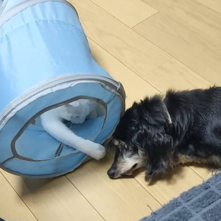 6efe07fd 6e66 44f9 9afc 6b185496f4d0 1626320948397