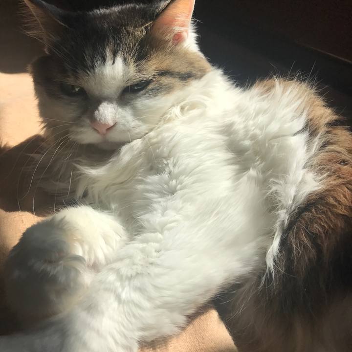 6efe3f8f d383 4326 89ac e7ce0e3b925a 1524491107697