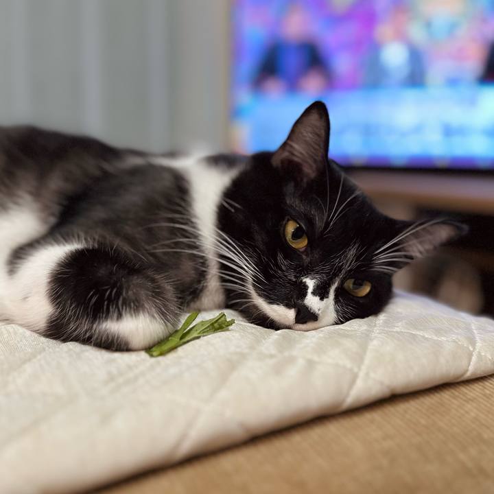 6efea6c3 bb91 479f 8b83 de1a99a9c4b0 1758281160371