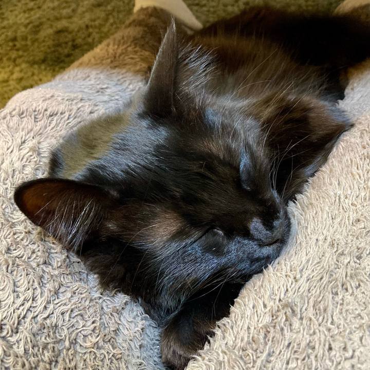 6efea747 0b22 466d 9e32 939ba76c103f 1738588357133