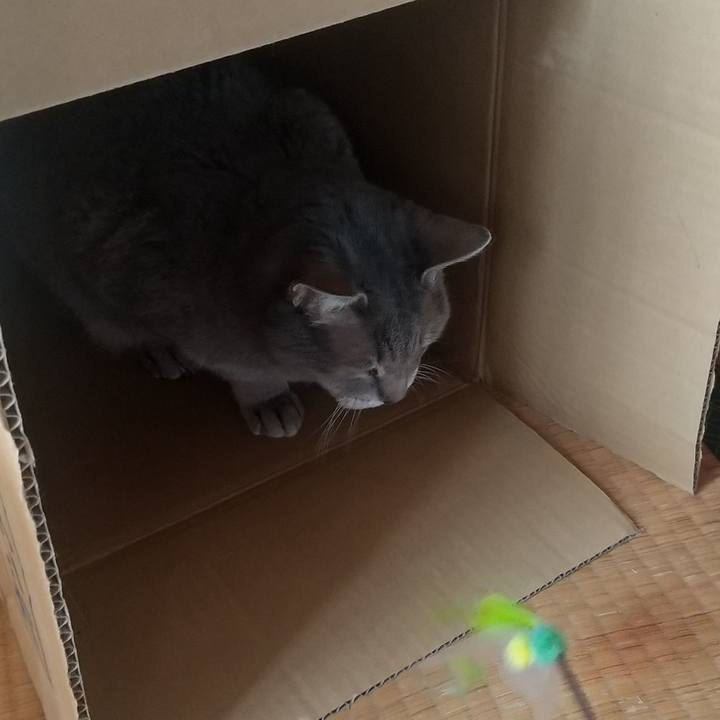 6efeb3e5 a254 4d7f a5ff 8e233a7ff408 1676077976379